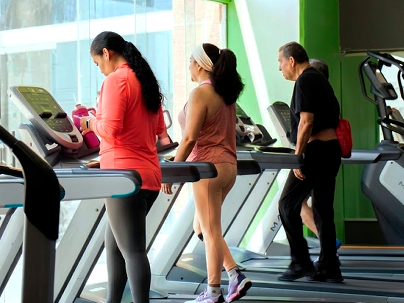 Racks, barras y zona de combate